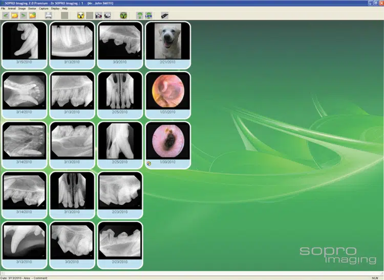capteur numérique dentaire SOPIX canin félin radiologie dentaire