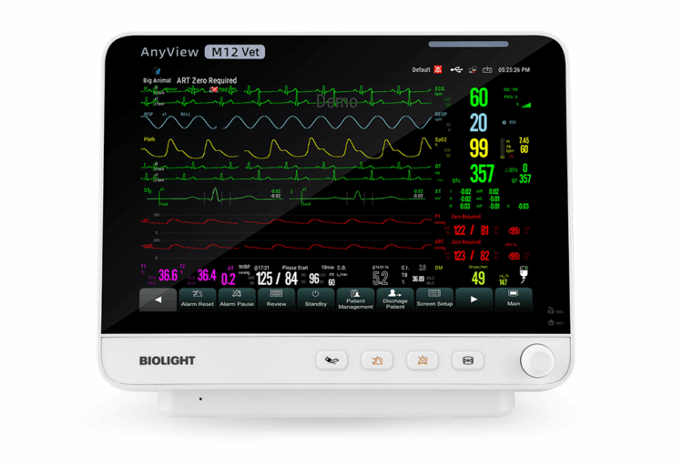 Moniteur M12 de face