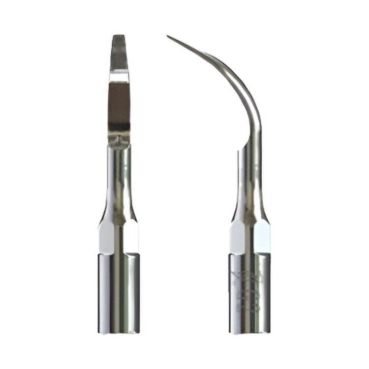 Insert dentaire pour vétérinaire