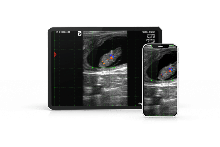 Échographe vétérinaire portable Dramiński iScan 2 Plus avec affichage des images échographiques sur une tablette et un smartphone via Wi-Fi.