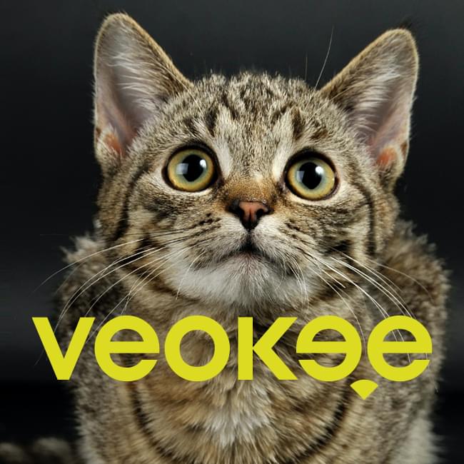 Veokee